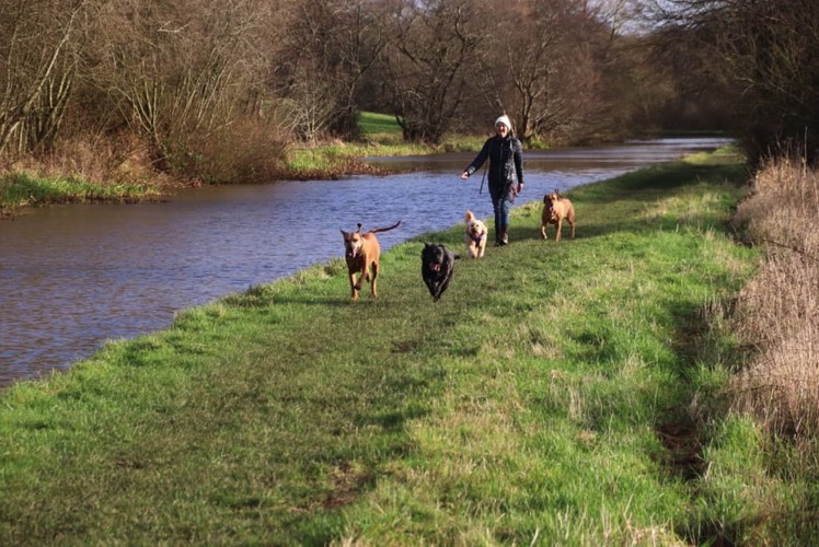 Walking by streams