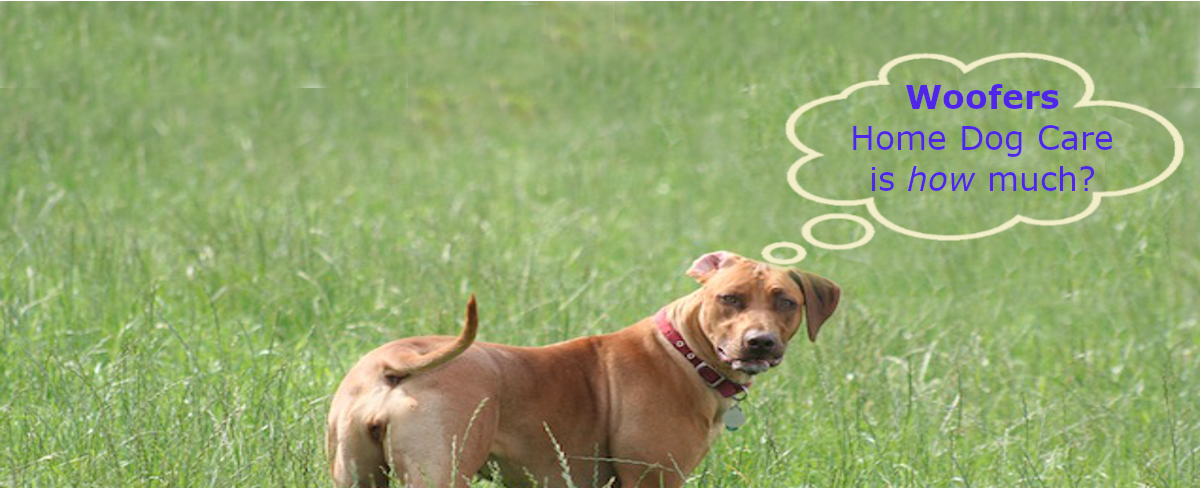 Ridgeback with How Much speech bubble