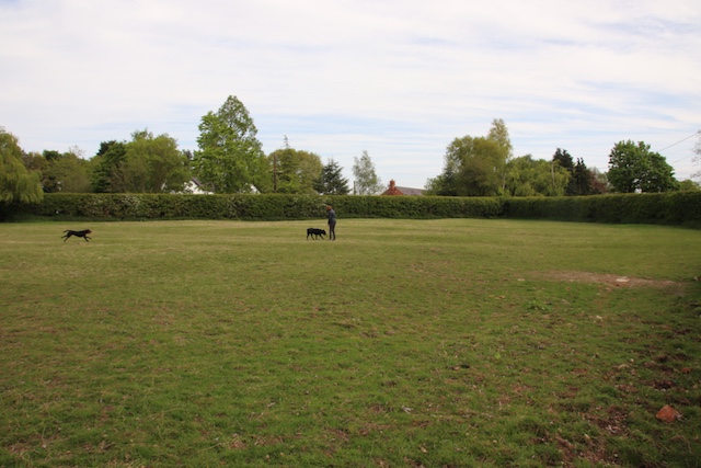 Stacks Image p187_n2